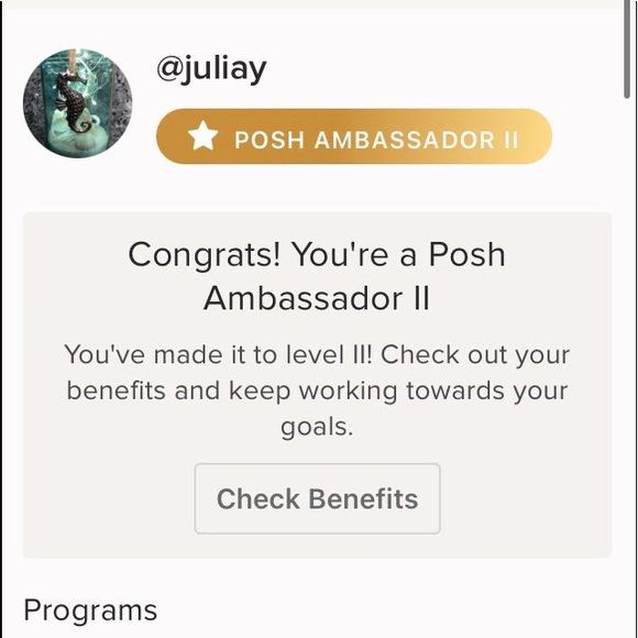 ✨Level II Posh Ambassador✨ - Picture 2 of 3